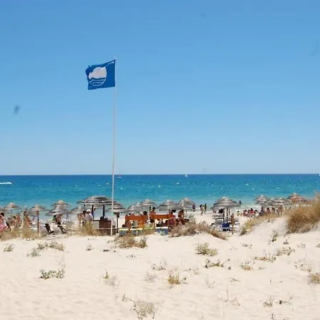 Grace - T2 Pool, Wifi, Balcony, Ac, 2,5km From Center Apartment